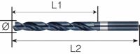 Spiralbohrer DIN 338, A100